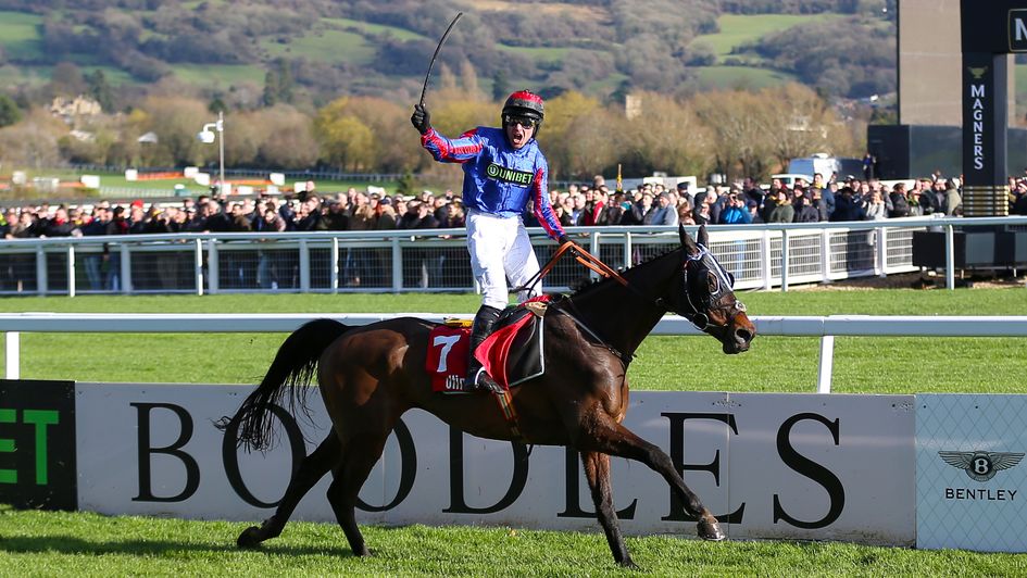 Beware the Bear Cheltenham winner
