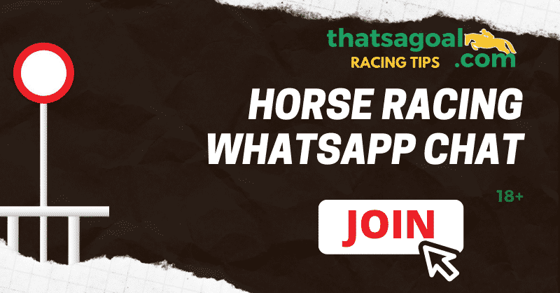 Horse Racing Whatsapp Chat