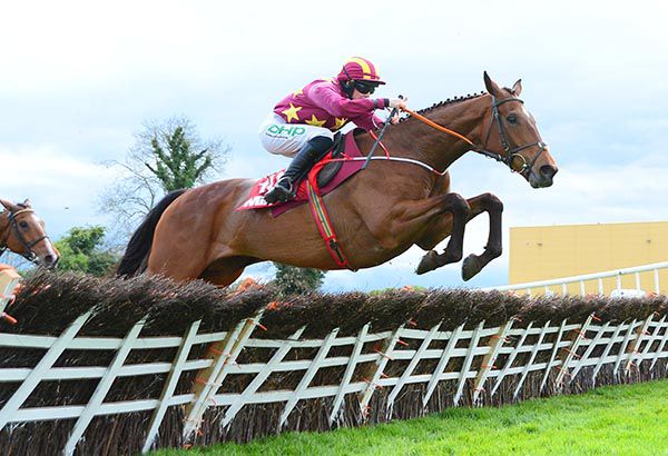Minella Indo Savills Chase 2020