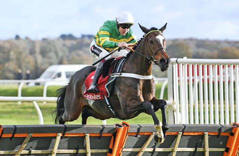 Jonbon horse