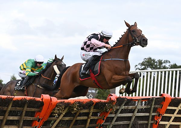 Salvador Ziggy Cheltenham